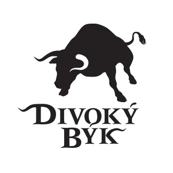 Divoký býk