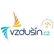 Vzdušín
