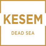 Logo KESEM.cz